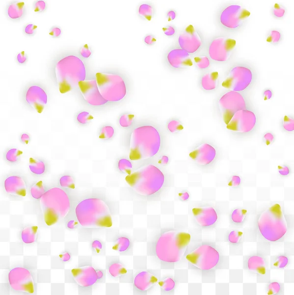 Vecteur réaliste pétales roses tombant sur fond transparent . — Image vectorielle