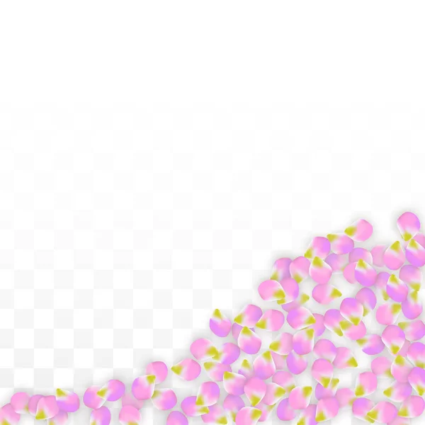 Petale roz realiste vectoriale care cad pe fundal transparent . — Vector de stoc