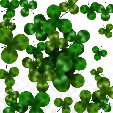 Şeffaf arka plan ile Spac izole vektör yonca yaprağı