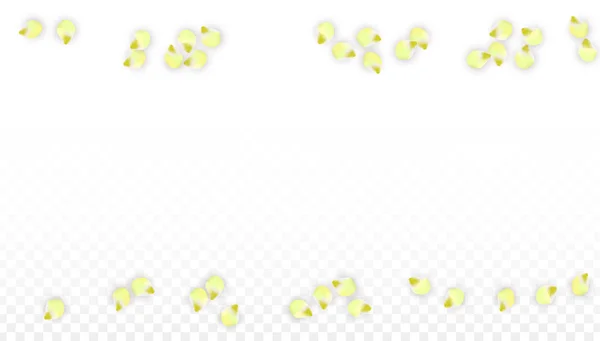Vektor realistische rosa Blütenblätter fallen auf transparentem Hintergrund. Frühling romantische Blumen Illustration. Fliegende Blütenblätter. Sakura Wellness Design. Blütenkonfetti. — Stockvektor