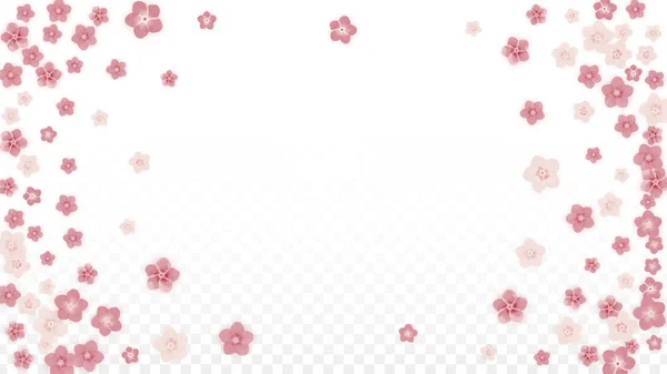 Vector Realistic Pink Flowers Falling on Transparent Background. — Stock Vector