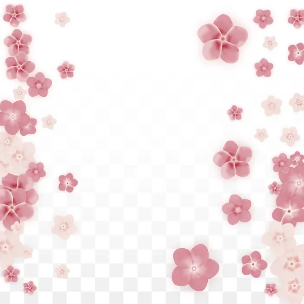 Vector realistas flores rosadas cayendo sobre fondo transparente . — Vector de stock
