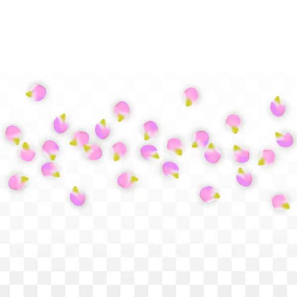 Vektor realistisch rosa Blütenblätter fallen auf transparentem Hintergrund. — Stockvektor