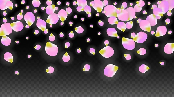 矢量现实主义粉红花瓣落在透明背景. — 图库矢量图片