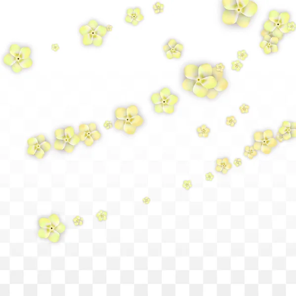 Vector realistiska gula blommor faller på Transparent bak — Stock vektor