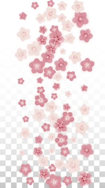 Fleurs roses réalistes vectorielles tombant sur fond transparent . — Image vectorielle