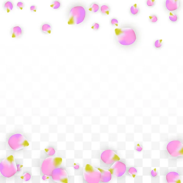 Vector realista pétalos rosados cayendo sobre fondo transparente. Ilustración de flores románticas de primavera. Pétalos voladores. Sakura Spa Design. Confetti de flor . — Vector de stock