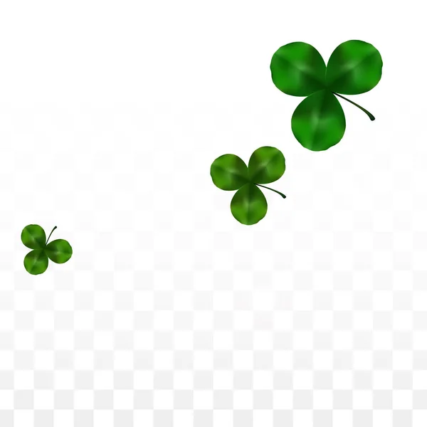 Vektorkleeblatt isoliert auf transparentem Hintergrund mit Platz für Text. St. Patrick 's Day Illustration. Irlands Lucky Shamrock Poster. Einladung zum Konzert in der Kneipe Draufsicht. Erfolgssymbole. — Stockvektor