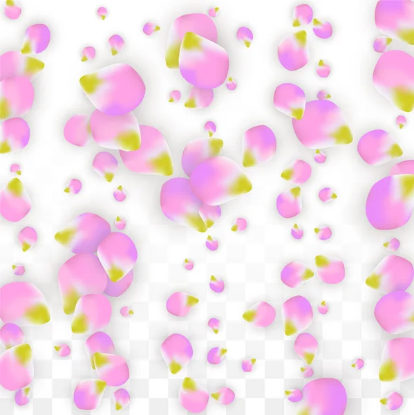 Vector realistische roze bloemblaadjes vallen op transparante achtergrond. Lente romantische bloemen illustratie. Vliegende bloemblaadjes. Sakura Spa Design. Bloesem Confetti. — Stockvector