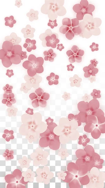Vector realistische roze bloemen vallen op transparante achtergrond. Lente romantische bloemen illustratie. Vliegende bloemblaadjes. Sakura Spa Design. Bloesem Confetti. Ontwerpelementen voor bruiloft decoratie. — Stockvector