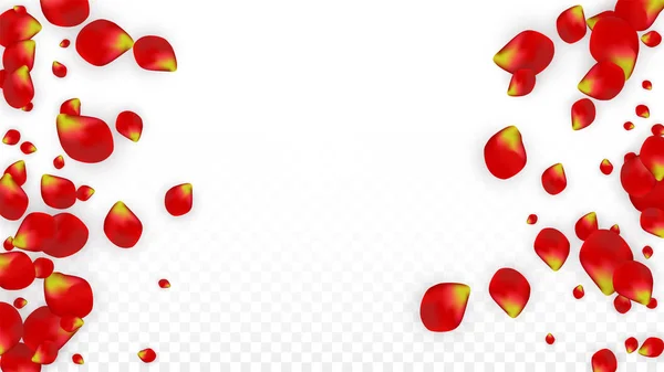 Vector realistiska röda rosenblad som faller på Transparent bakgrund. Romantiska blommor Illustration. Flygande blomblad. Sakura Spa Design. Blossom konfetti. Designelement för bröllop dekoration. — Stock vektor