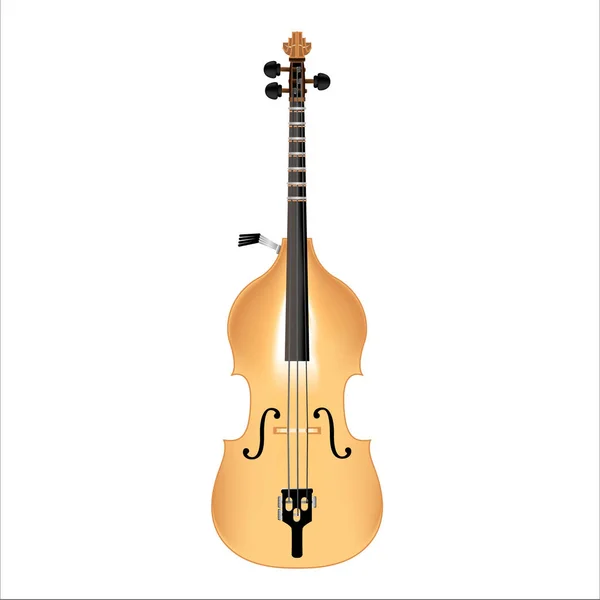 Octobass gerçekçi tarzda — Stok Vektör