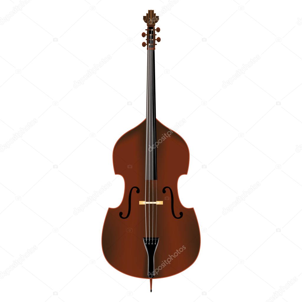 Color vector illustration of a double bass with many details.