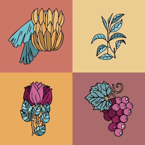 Tarjetas de colores con plátanos, hojas de té, rosas y uvas — Vector de stock