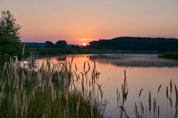 Aube Sur Rivière Herbe Été Jaune Tons Doux Brouillard — Photo