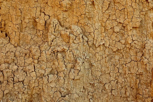texture of clay sand wall of yellow color with lots of cracks of different depth
