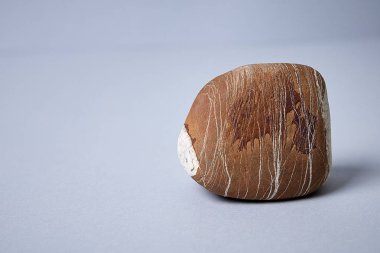 Vintage taş bir ışık bir mamut yakın çekim görüntü ile arka plan izole