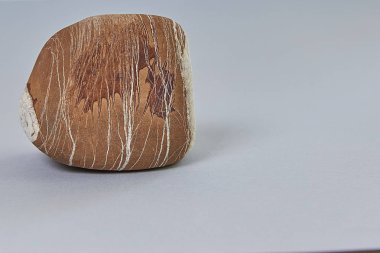 Vintage taş bir ışık bir mamut yakın çekim görüntü ile arka plan izole