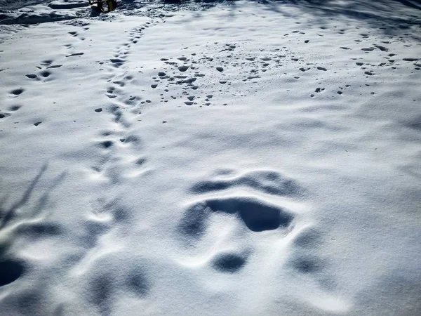 冬天明亮的日子 蓝色色调的质感雪 — 图库照片