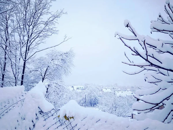 Hermoso día de invierno en un parque cubierto de nieve — Foto de Stock