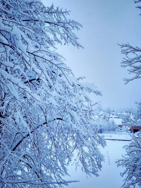 Прекрасный зимний день в снежном парке — стоковое фото