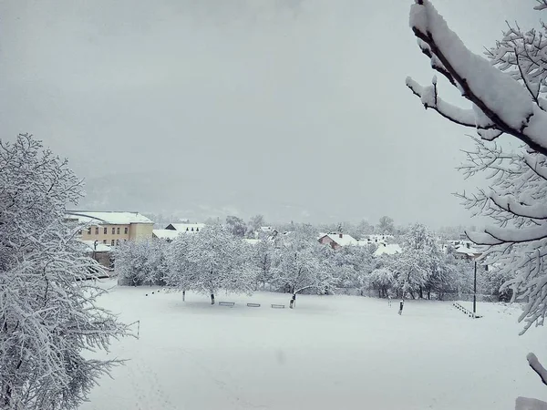 Прекрасный зимний день в снежном парке — стоковое фото