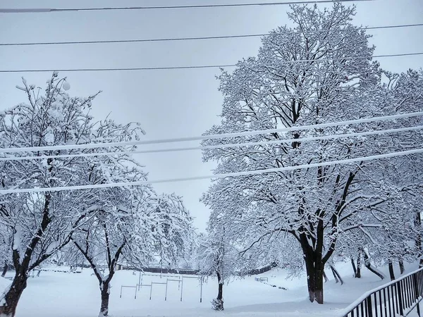 Schöner Wintertag in einem verschneiten Park — Stockfoto