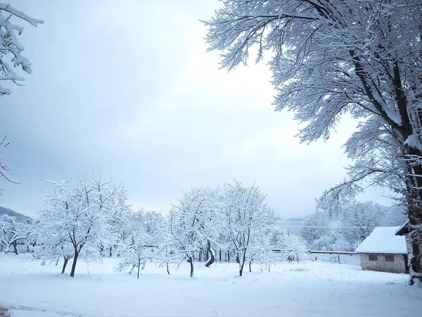 Hermoso día de invierno en un parque cubierto de nieve — Foto de Stock