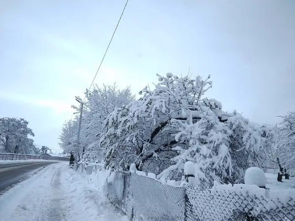 Schöner Wintertag in einem verschneiten Park — Stockfoto