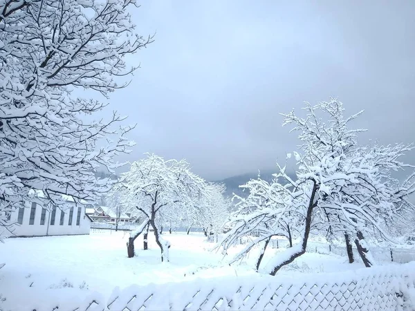 Belo dia de inverno em um parque nevado — Fotografia de Stock