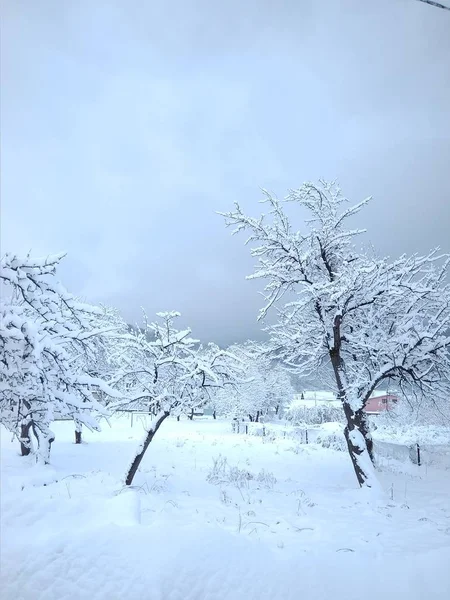 Прекрасный зимний день в снежном парке — стоковое фото