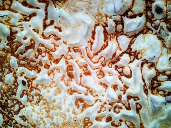 Texture baked homemade pancakes with a beautiful pattern close up — Stock Photo, Image