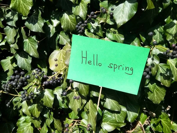 第一春天天题词在纸你好春天在自然背景 — 图库照片