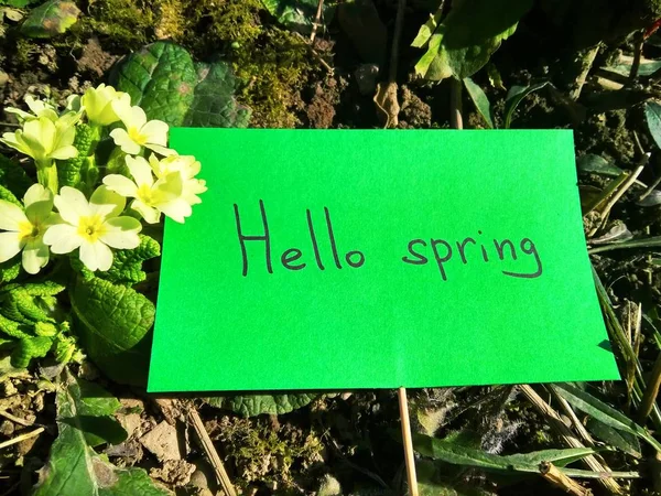 Primer día de primavera inscripción en papel hola primavera en el fondo de la naturaleza — Foto de Stock