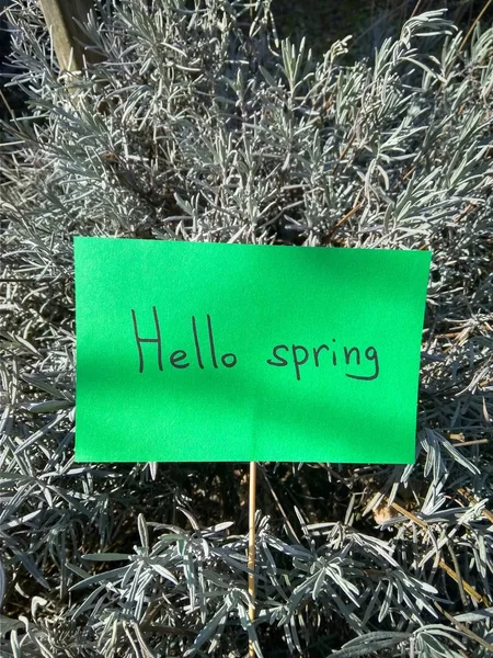 First spring day inscription on paper hello spring on nature background — Stock Photo, Image