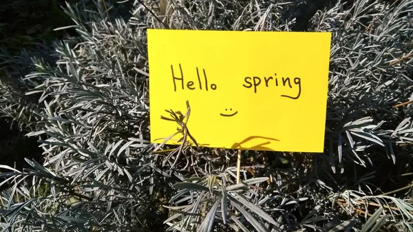 Första våren dag inskriften på papper Hej våren på natur botten — Stockfoto