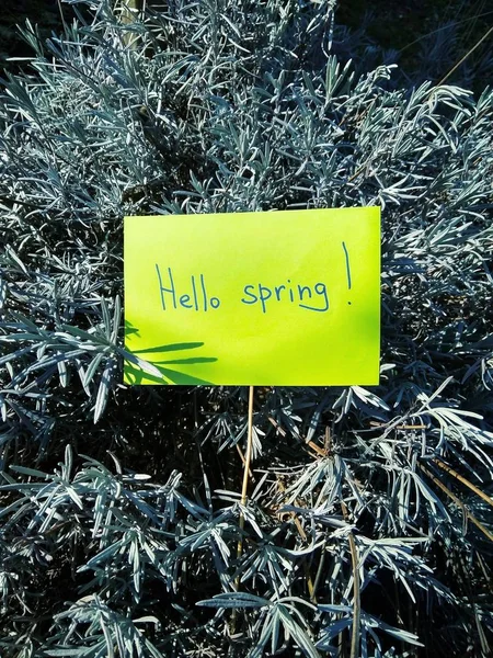 Första våren dag inskriften på papper Hej våren på natur botten — Stockfoto