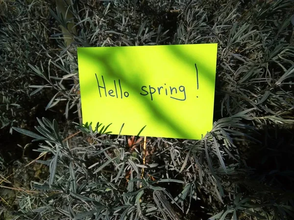 Primer día de primavera inscripción en papel hola primavera en el fondo de la naturaleza — Foto de Stock