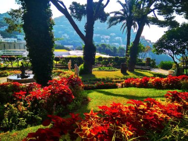 Capri Akdeniz'de İtalyan bir adada güzel dar sokak