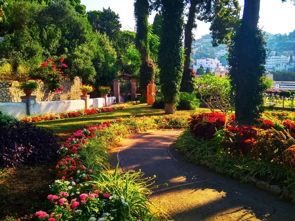 Den vackra smala gatan av Capri på en italiensk ö i Medelhavet — Stockfoto