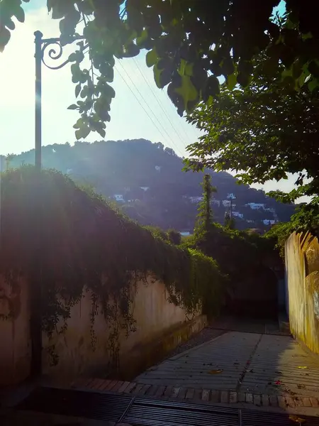 Capri Akdeniz'de İtalyan bir adada güzel dar sokak — Stok fotoğraf