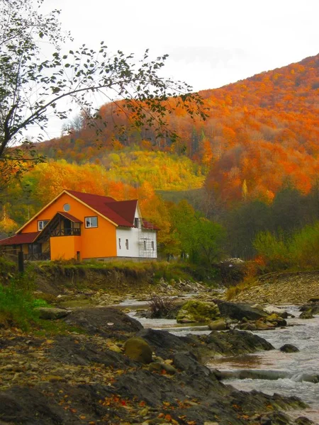 Güzel bir sonbahar manzara orman görünümünü — Stok fotoğraf