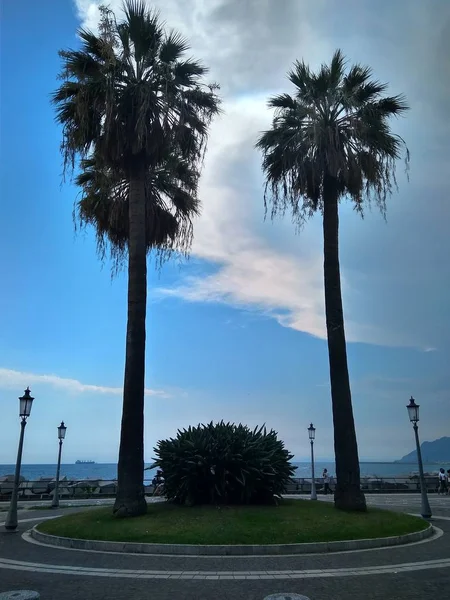A Földközi-tenger pálmafákkal tarkított gyönyörű tér — Stock Fotó