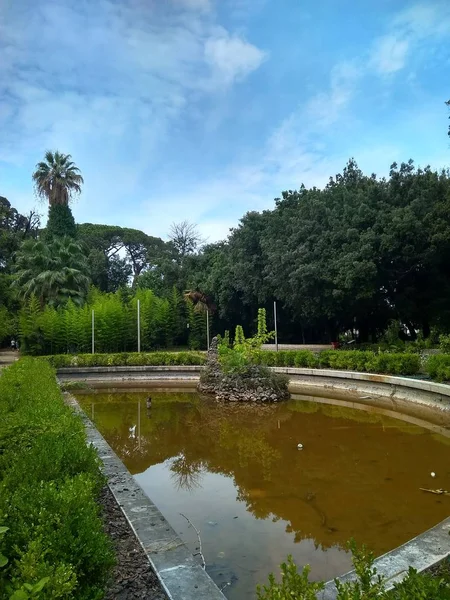 Mooie verlaten groen park met palmbomen in Italië — Stockfoto