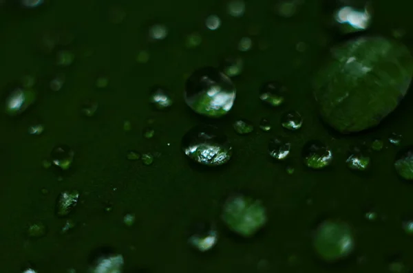 绿草上的露珠 绿叶上的雨滴 宏观照片 — 图库照片