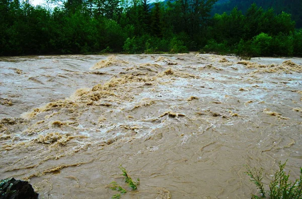 Dirty River Current Rain Mudslide Concept River Flow Dirty Water — Stock Photo, Image