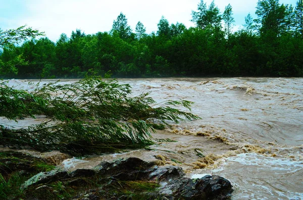 Dirty River Current Rain Mudslide Concept River Flow Dirty Water — Stock Photo, Image