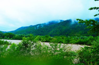 Yağmurdan sonra kirli nehir akıntısı. Toprak kayması konsepti. Çamurlu yağmurdan sonra kirli suyla akan nehir. Seçici odak.