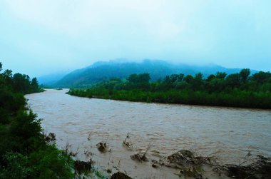 Yağmurdan sonra kirli nehir akıntısı. Toprak kayması konsepti. Çamurlu yağmurdan sonra kirli suyla akan nehir. Seçici odak.