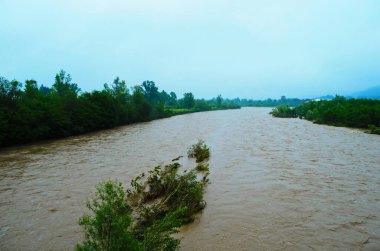 Yağmurdan sonra kirli nehir akıntısı. Toprak kayması konsepti. Çamurlu yağmurdan sonra kirli suyla akan nehir. Seçici odak.